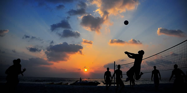 Describe the photo or the page it links to